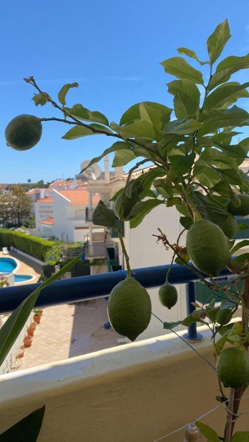 Olhos Do Mar 209 Grande Terraco Vista Mar Apartment Ольос де Агуа Екстериор снимка